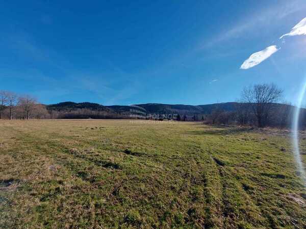 Działka 5331 m2 w KOWARY