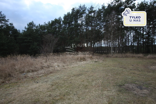 Działka 3300 m2 w KARGOWA