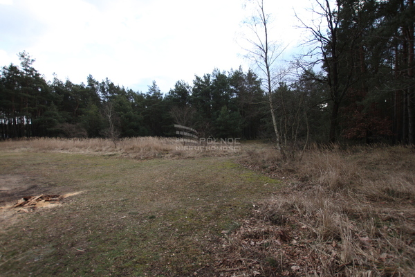 Działka 3300 m2 w KARGOWA