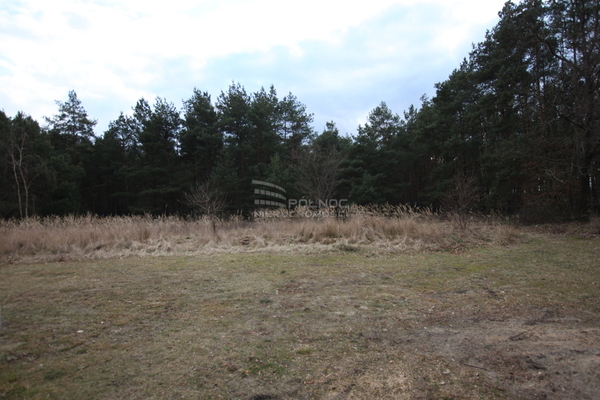 Działka 3300 m2 w KARGOWA