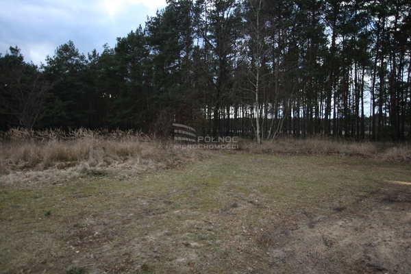 Działka 3300 m2 w KARGOWA