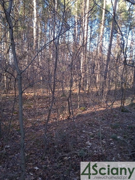 Działka 7300 m2 w PIASECZNO