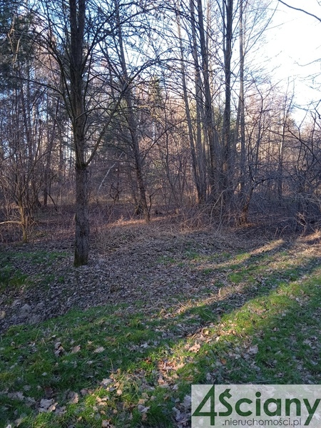 Działka 7300 m2 w PIASECZNO