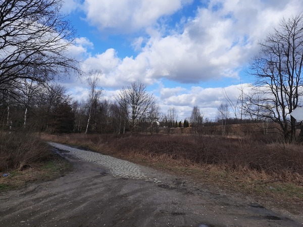 Działka 10241 m2 w BOLESŁAWIEC