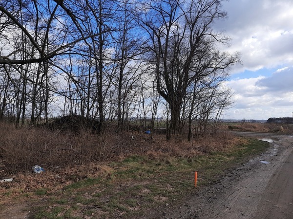 Działka 10241 m2 w BOLESŁAWIEC