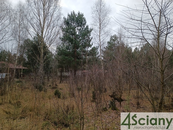 Działka 2000 m2 w WIĄZOWNA