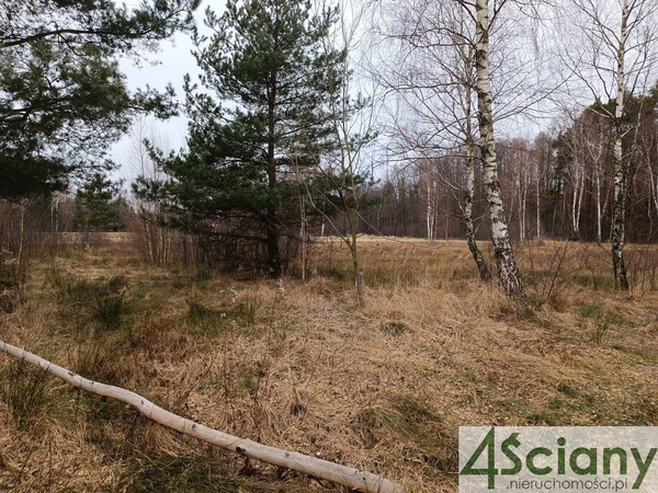 Działka 2000 m2 w WIĄZOWNA