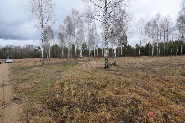 Działka 1301 m2 w NOWOGRÓD