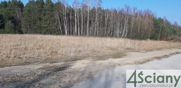 Działka 3000 m2 w PUSZCZA MARIAŃSKA