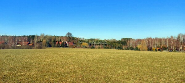 Działka 3145 m2 w PURDA