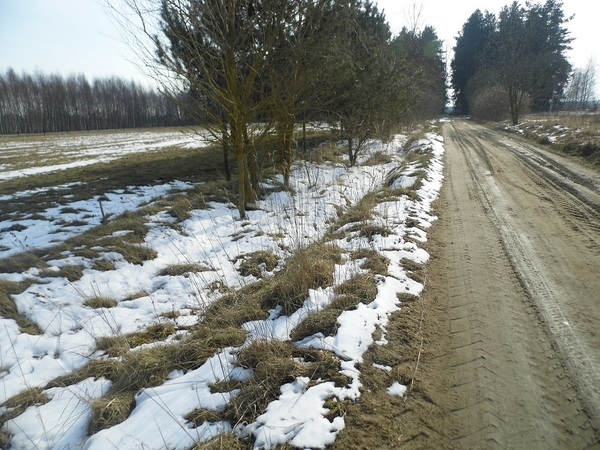 Działka 3412 m2 w ŁAPY