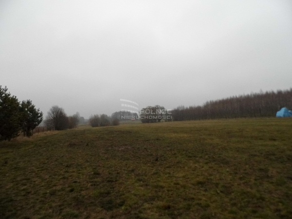 Działka 3412 m2 w ŁAPY