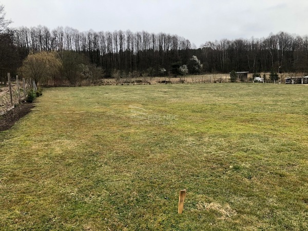 Działka 3000 m2 w ZIELONA GÓRA