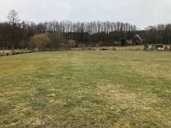 Działka 3000 m2 w ZIELONA GÓRA