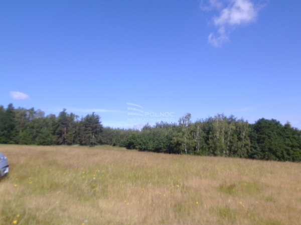 Działka 1348 m2 w CHOJNÓW