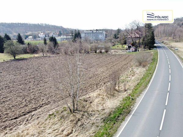 Działka 7256 m2 w LWÓWEK ŚLĄSKI