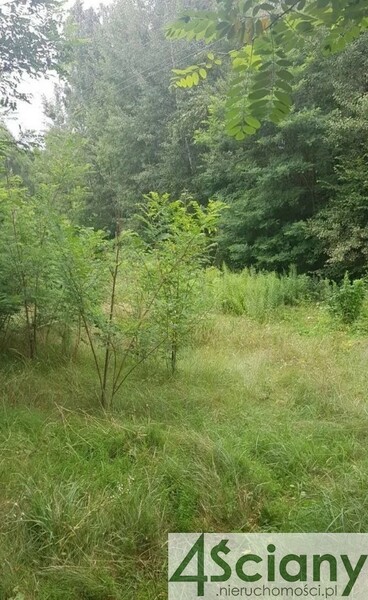 Działka 3053 m2 w SULEJÓWEK