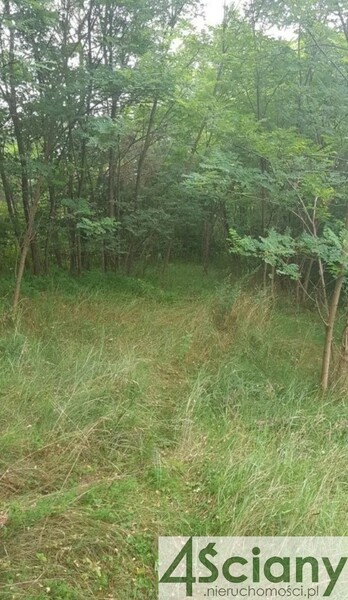 Działka 3053 m2 w SULEJÓWEK