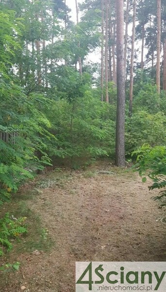 Działka 3053 m2 w SULEJÓWEK