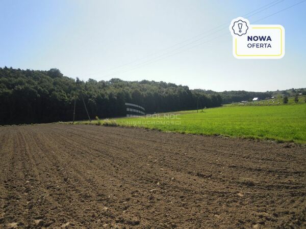 Działka 6000 m2 w IWANOWICE