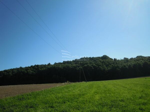 Działka 6000 m2 w IWANOWICE