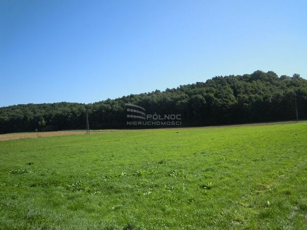 Działka 6000 m2 w IWANOWICE