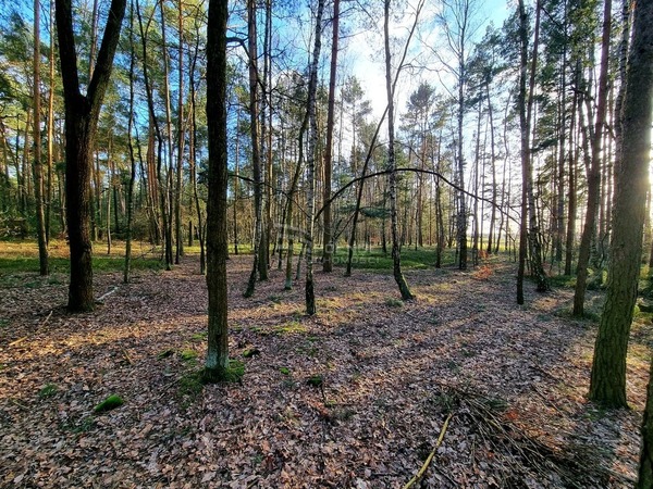 Działka 4136 m2 w LUTOMIERSK