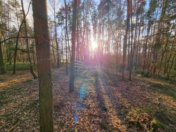 Działka 4136 m2 w LUTOMIERSK