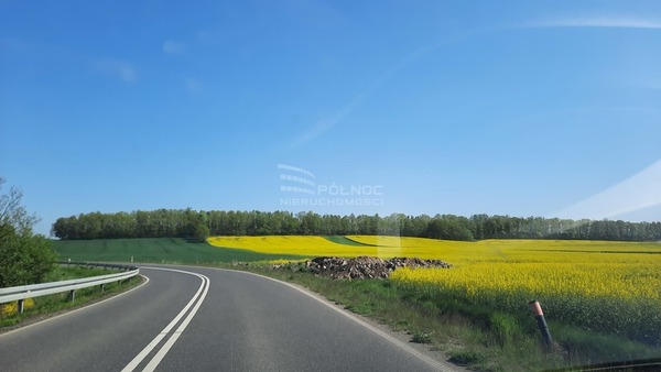 Działka 3825 m2 w LWÓWEK ŚLĄSKI