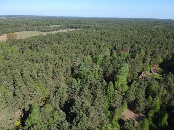 Działka 2503 m2 w GOWOROWO