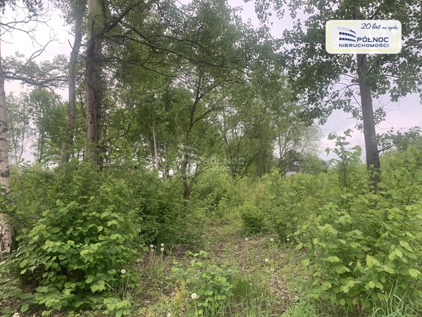 Działka 1017 m2 w MSZANA