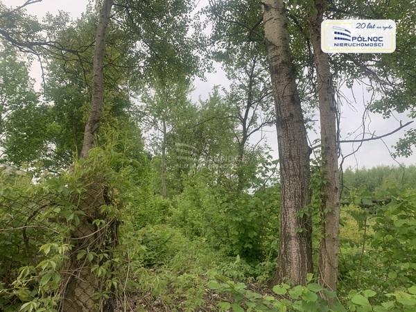 Działka 1017 m2 w MSZANA