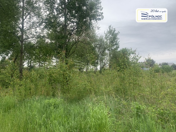 Działka 1017 m2 w MSZANA