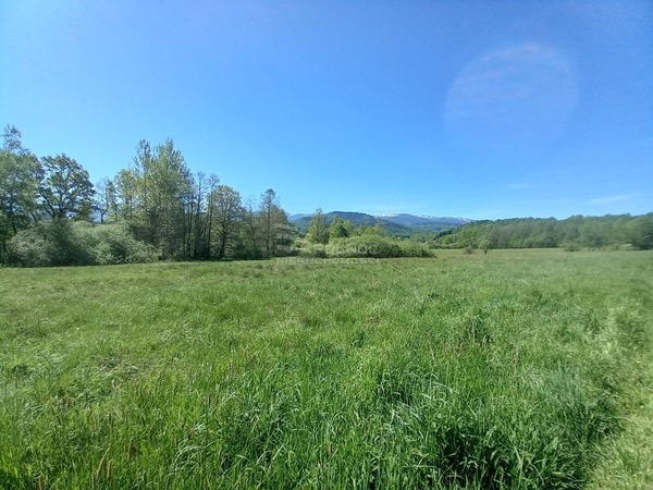 Działka 8000 m2 w PODGÓRZYN