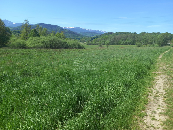 Działka 8000 m2 w PODGÓRZYN