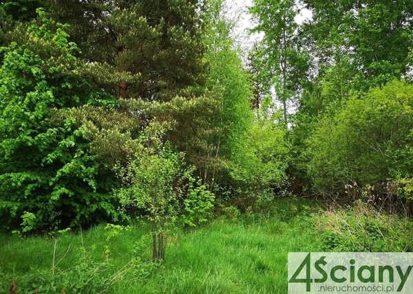 Działka 3680 m2 w GRODZISK MAZOWIECKI