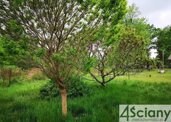 Działka 3680 m2 w GRODZISK MAZOWIECKI