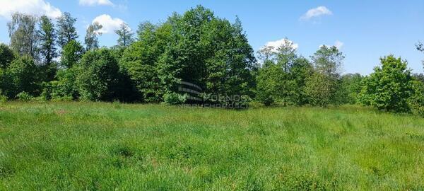 Działka 7000 m2 w NOWOGRODZIEC