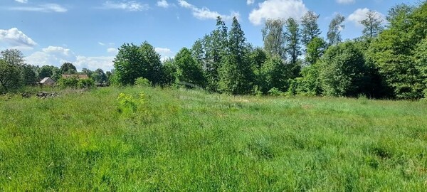 Działka 7000 m2 w NOWOGRODZIEC