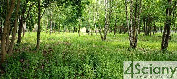 Działka 10626 m2 w GRODZISK MAZOWIECKI