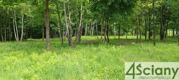 Działka 10626 m2 w GRODZISK MAZOWIECKI