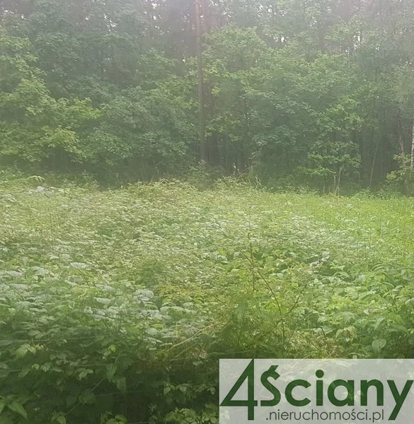 Działka 7663 m2 w ŻABIA WOLA