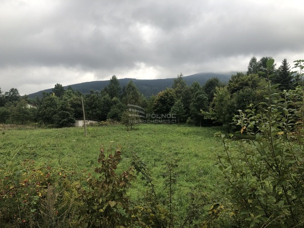 Działka 8239 m2 w KOWARY