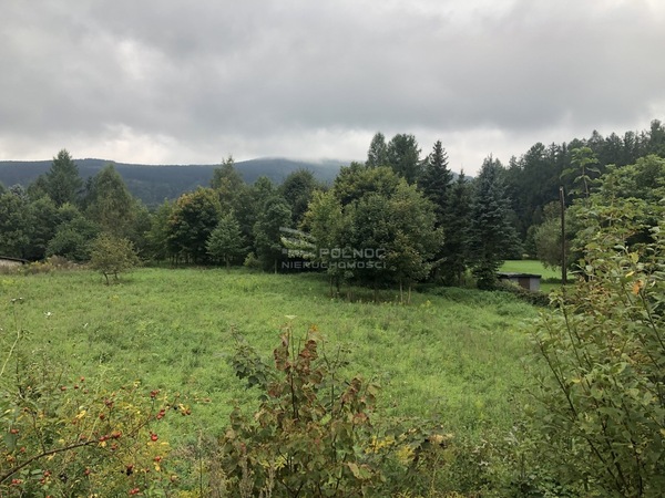 Działka 8239 m2 w KOWARY