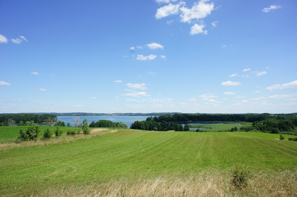 Działka 3000 m2 w STARE JUCHY