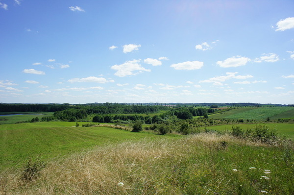 Działka 3000 m2 w STARE JUCHY