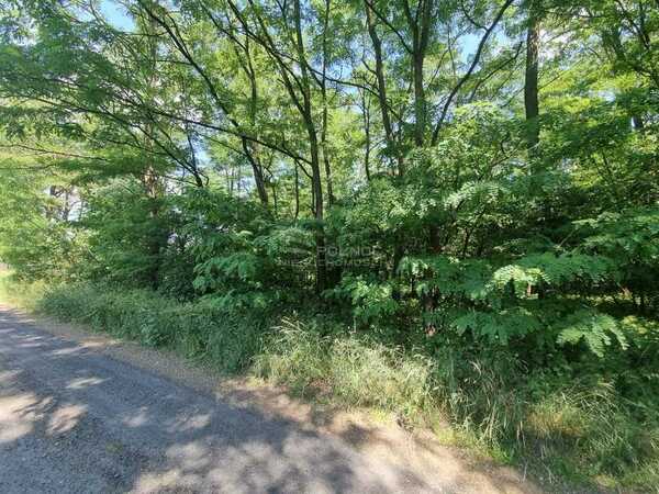 Działka 9500 m2 w PODDĘBICE