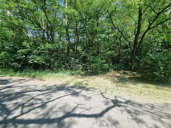 Działka 9500 m2 w PODDĘBICE