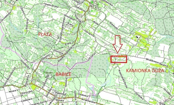 Działka 8800 m2 w ALWERNIA