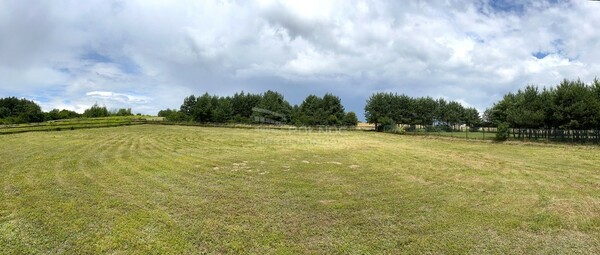 Działka 4902 m2 w PILICA